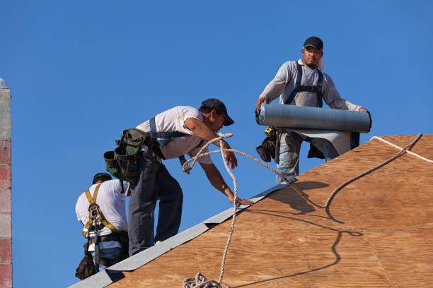 Best Roof Waterproofing Services  in Vernonia, OR